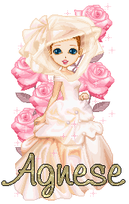 rosa agnese glitter