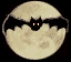 pipistrello luna