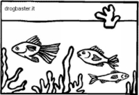 disegni acquario per bambini