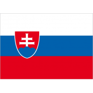 entrata in vigore nel 1993, dalla separazione dalla Repubblica Ceca