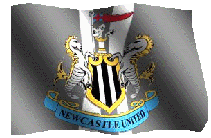 Bandiera Newcastle