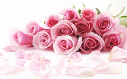 Rose colorate da regalare per il giorno della mamma