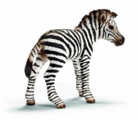 animali del racconto: zebra