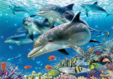 delfini che nuota nell'oceano