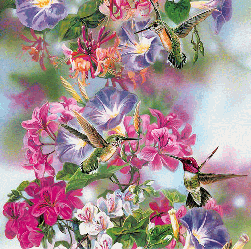 piccolo colibrì raccoglie il nettare dai fiori