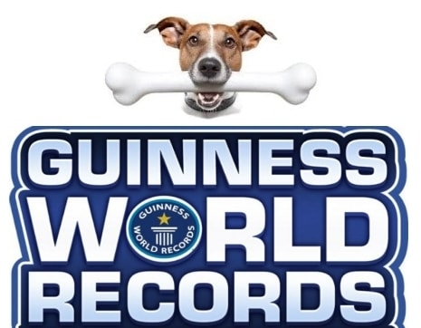cane con osso e scritta Guinness World Records