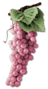 grappolo uva color rosè