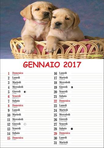 Calendario con cagnolini del mese Gennaio 2017
