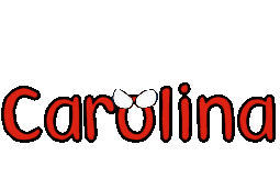 scritta nome carolina