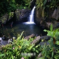 El Yunque Foresta nazionale caraibica