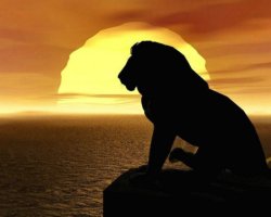 sfondo del Re leone al tramonto