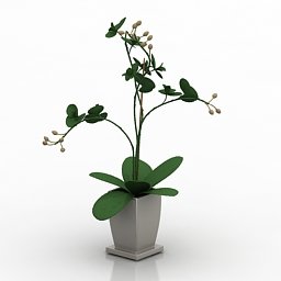 vaso fiori 3d