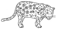 Disegno da colorare Leopardo
