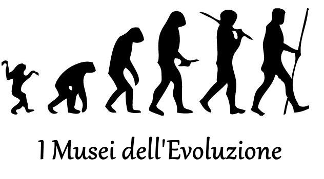 evoluzione uomo musei