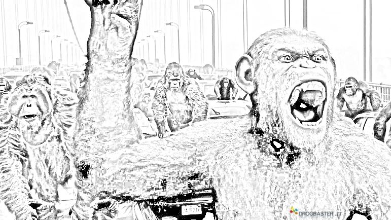 disegno immagine tratto da film con scimmie