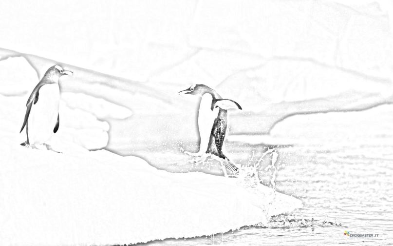 disegno pinguino salto