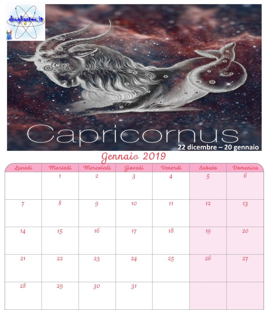 calendario mensile gennaio 2019 con segni zodiacali