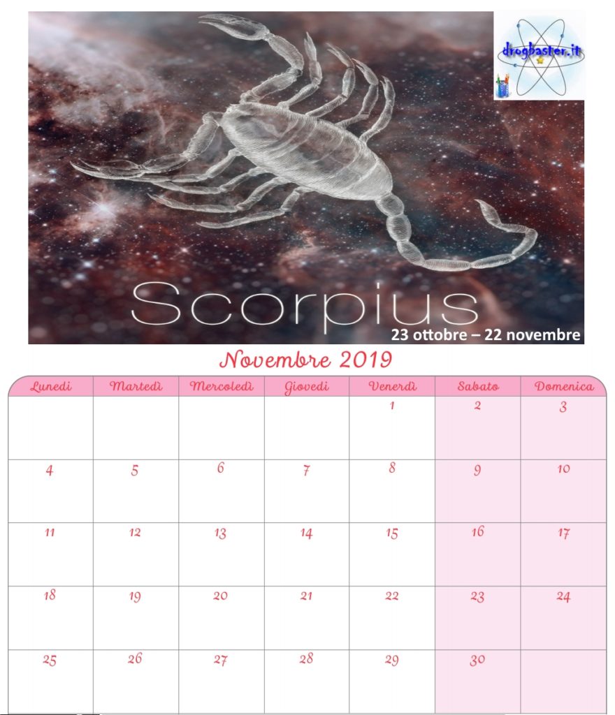 calendario mensile novembre 2019 con segni zodiacali