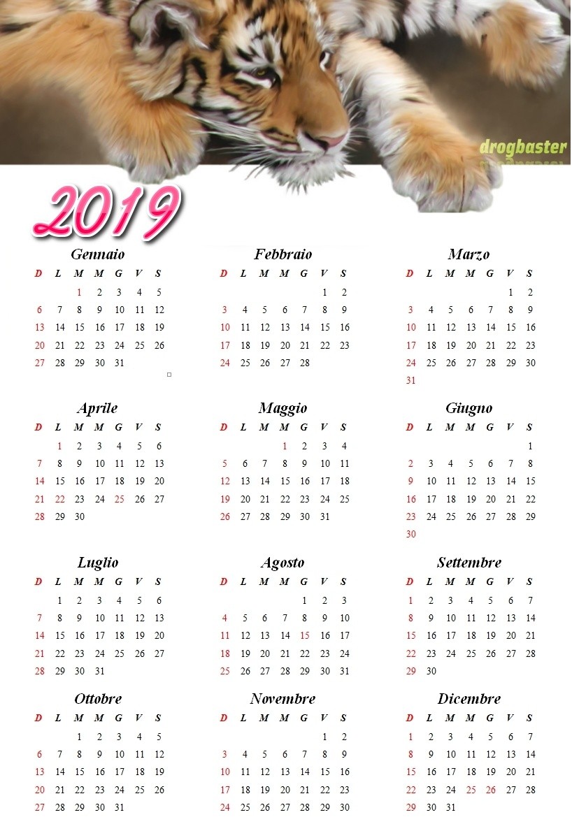 calendario 2019 animale Leone