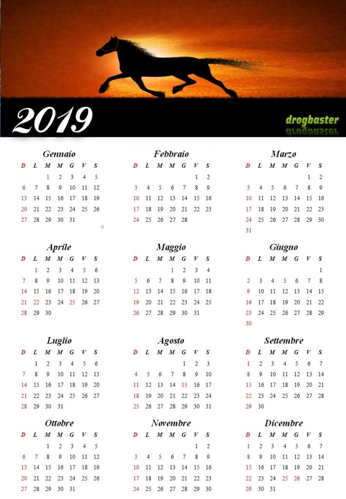 calendario 2019 stallone